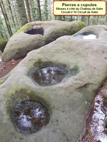 Pierres a cupules chateau de Salm